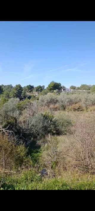 Terreno turis 5591m²