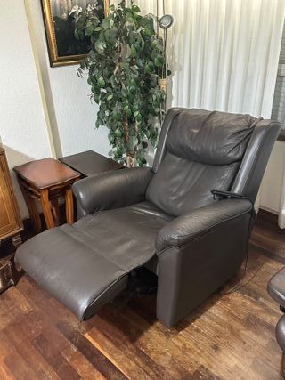 Sillón Levanta Personas Eléctrico Piel