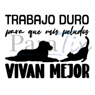 Pegatinas personalizadas