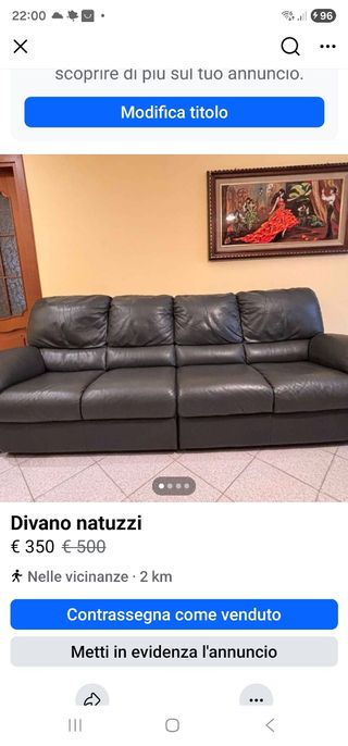 Divano Natuzzi