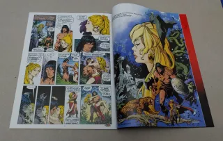 The savage sword or Conan Reforged 2
