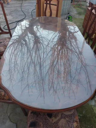 Conjunto mesa y 6 sillas madera