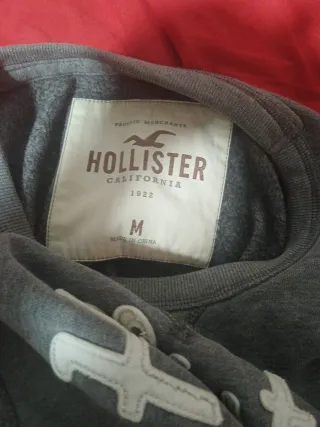 Jersey Hollister Gris