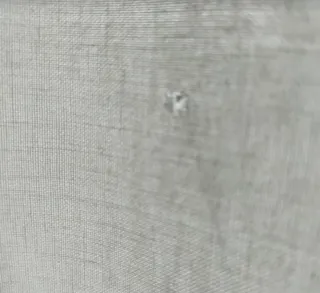 Cortinas infantiles con animales