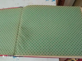 Álbum de Fotos Antiguo 1911