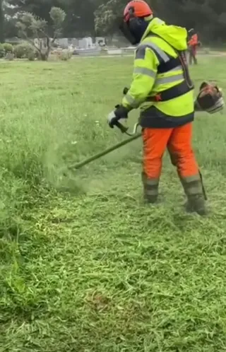 Servicio de jardinería profesional