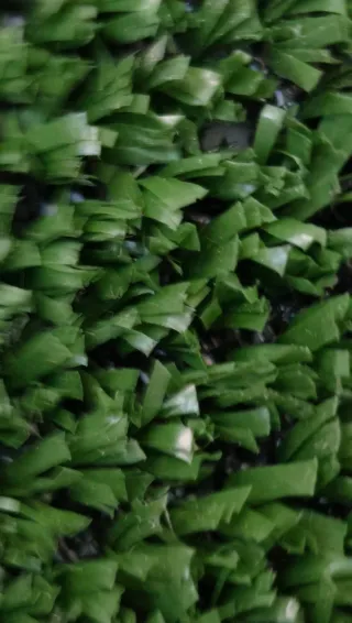 Gafas de sol Ray-Ban Erika Marrones Polarizadas