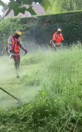 Limpieza de parcelas