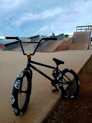 Bmx Profesional Flybikes Proton