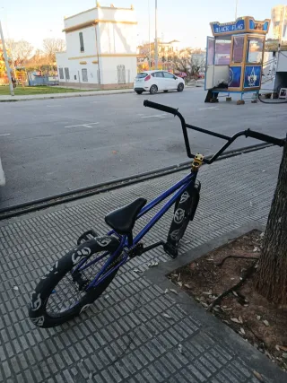 Bmx Profesional Flybikes Proton