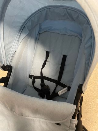Carro de bebé azul