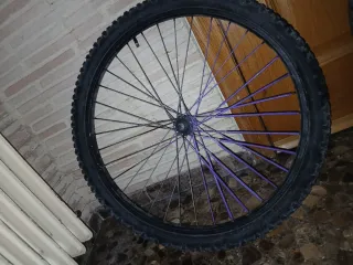 Conjunto de Dos Llantas de bicicleta