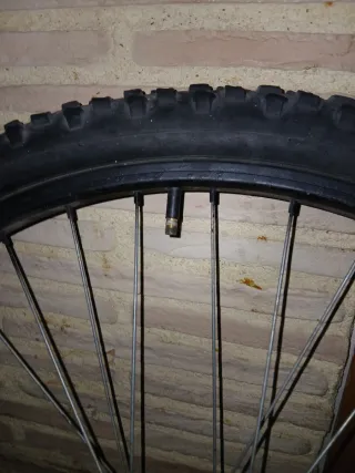 Conjunto de Dos Llantas de bicicleta