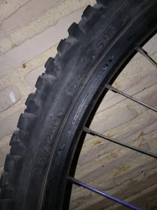 Conjunto de Dos Llantas de bicicleta