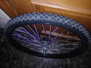 Conjunto de Dos Llantas de bicicleta