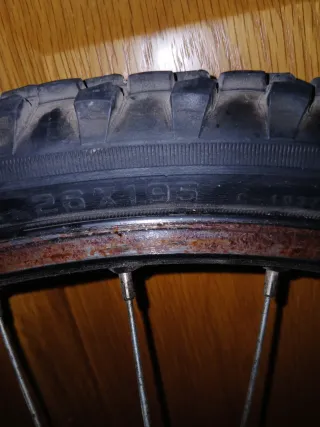 Conjunto de Dos Llantas de bicicleta