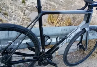 Cuadro MMR Adrenaline 2021