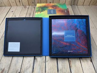 PACK 4 LIBROS IMPRESCINDIBLES PLANETA