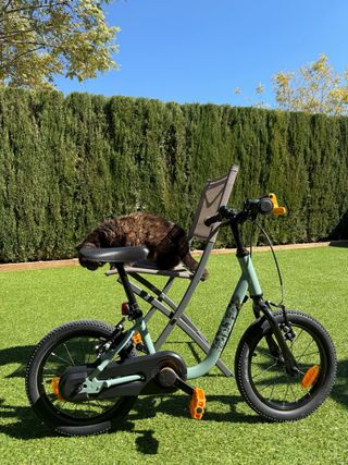 Bicicleta Niños 14 3-5 Años Discover 900