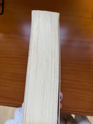 La ladrona de libros