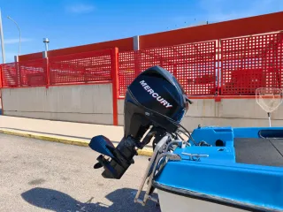 Barca Bass Boat Ducato Miniflash Mercury EFI 25