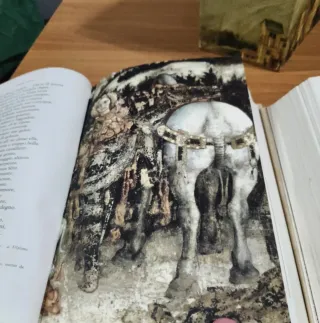 Orlando furioso d'epoca illustrato