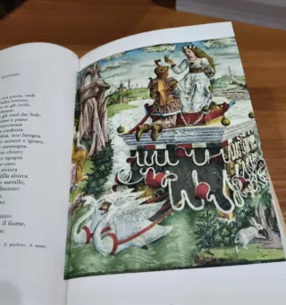 Orlando furioso d'epoca illustrato