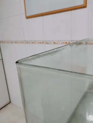 Acuario grande de cristal pecera terrario