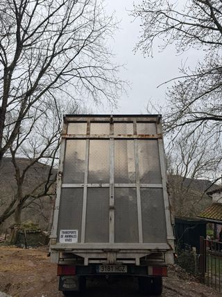 Camión para transporte de caballos