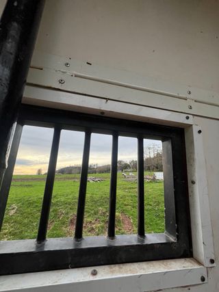 Camión para transporte de caballos