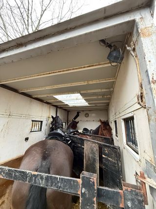 Camión para transporte de caballos