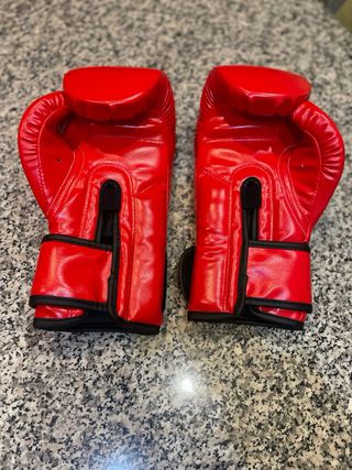 Guantoni Fairtex BGV1 Rossi 10 Oz