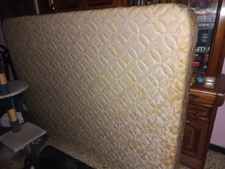 Canapé de tela beige y dorado