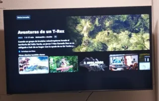 TV LG 65 LED UltraHD 4K HDR10