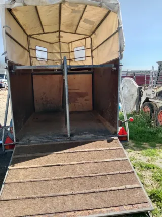 VAN 2 Caballos Bockman Alemán