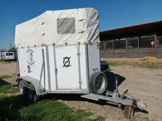 VAN 2 Caballos Bockman Alemán