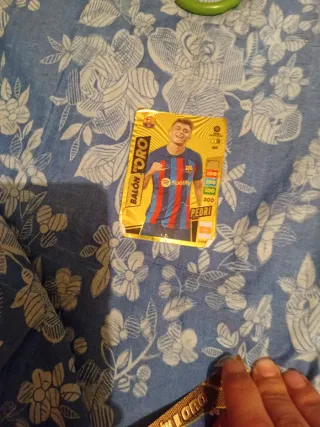 8 Balones de Oro Panini