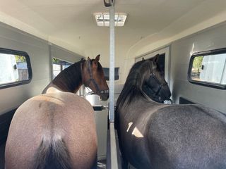 Portes para caballos