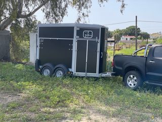 Portes para caballos