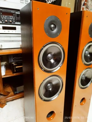 ADVANCE ACOUSTIC MA44 ALTAVOCES