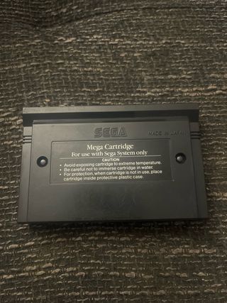 Wonder Boy Master System Sega