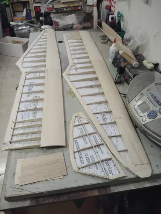 Delos más bonitos planeadores radiocontrol