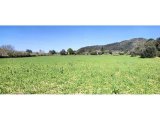 Chalet en venta en Centro en Inca