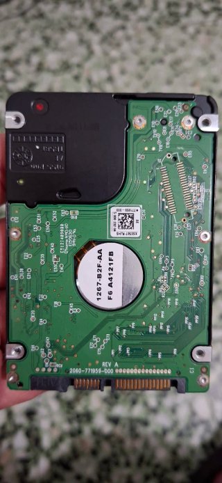 Disco Duro WD-500GB