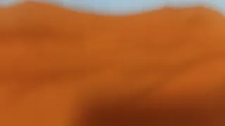 Lote 5 Camisetas Talla XS Naranja a estrenar