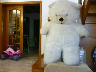 Lote de peluches variados