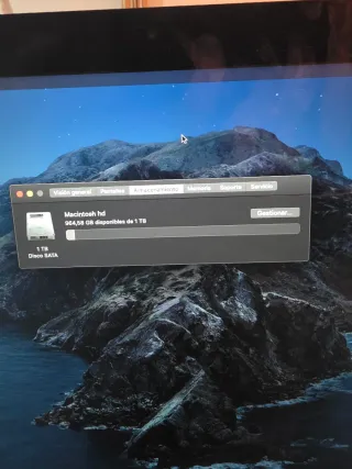 iMac 21,5 (Finales 2013)