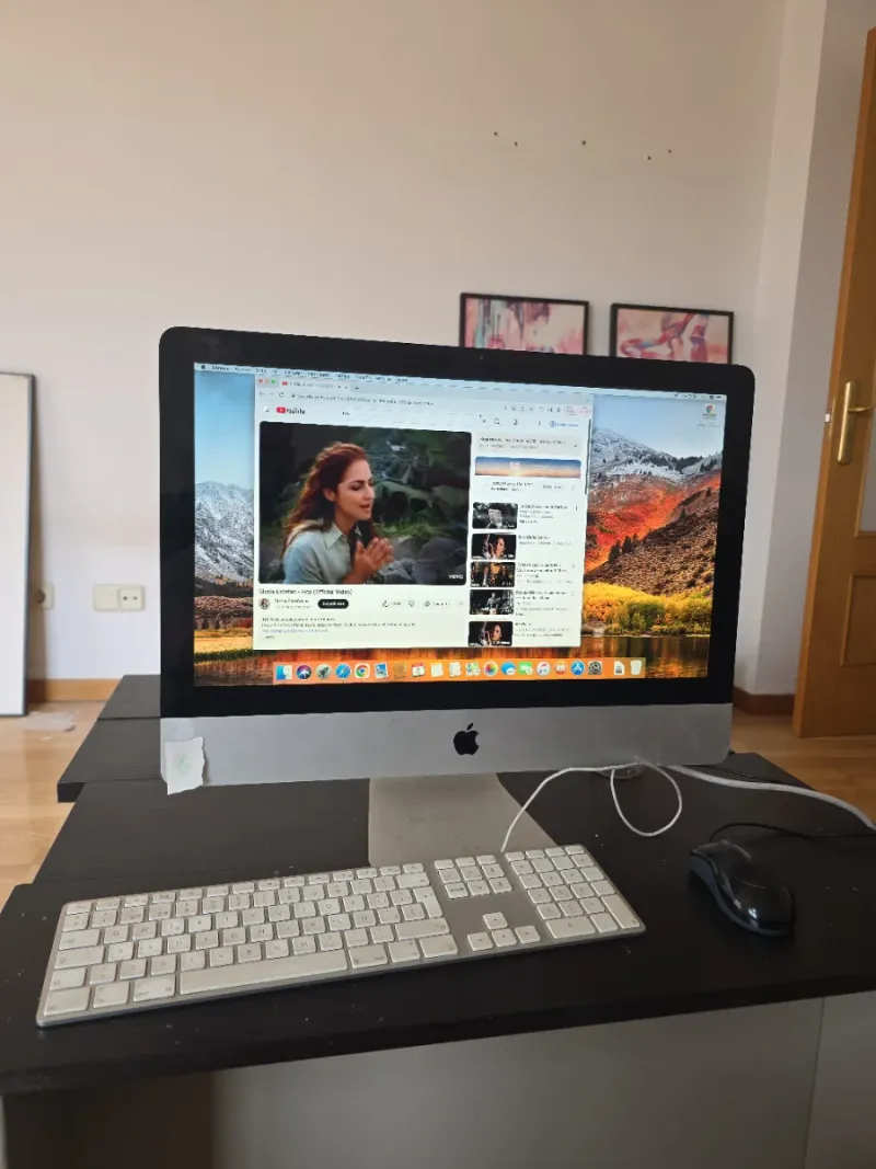 iMac 21,5 2010 afbeelding 6
