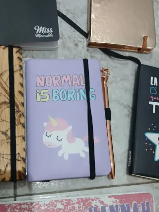 9 Quaderni e Penne Metalliche