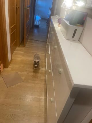 Zapatero hemnes ikea